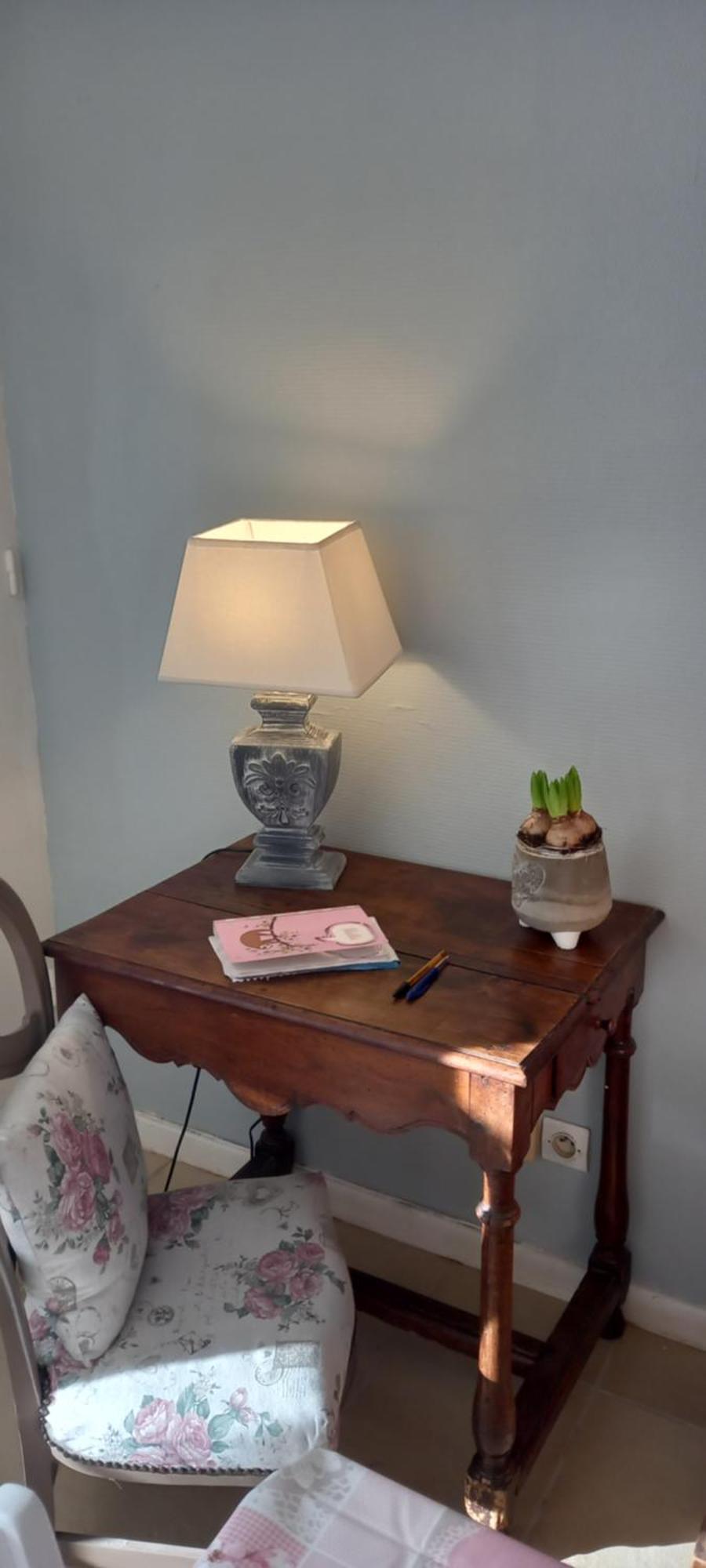 Les Demeures De La Laigne Bed & Breakfast Allas-Bocage ภายนอก รูปภาพ