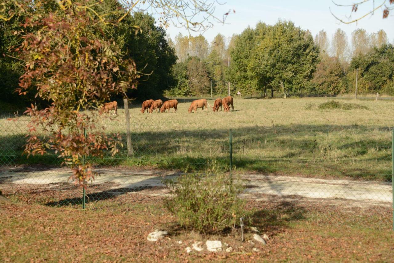 Les Demeures De La Laigne Bed & Breakfast Allas-Bocage ภายนอก รูปภาพ